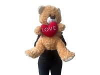 Valentine's Day Mr. Deano Giant Bear